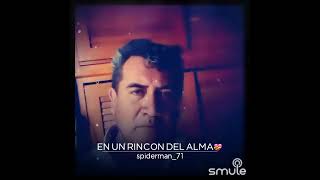 En un rincón del alma...Vicente Fernández