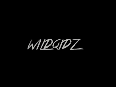 WildQidz - RealShit ( Video Official )