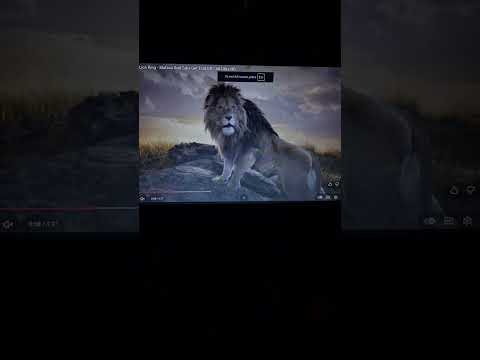 "Toontopia" Part 2 - The Police Academy/Lynn Leaves Home