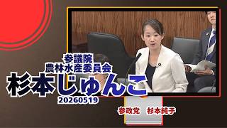 参政党【杉本じゅんこ】【杉本純子】🍊参議院農林水産委員会🍊20260519　#参政党 #杉本じゅんこ