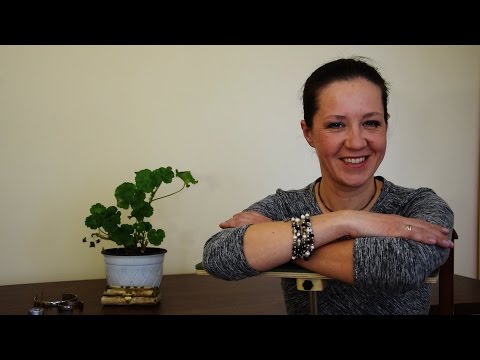 Sigita Kriaučiūnienė - Palmingo meditacija