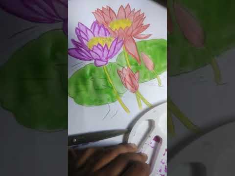 lotus flower# Rajdeep# shorts