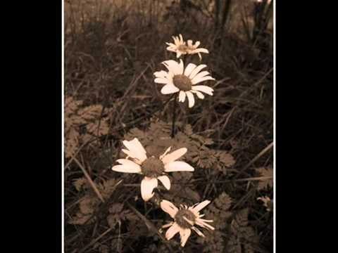 Hope   Who am I to say.