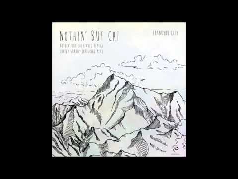 THANKYOU CITY - Nothin But Chi' (FunkForm ChiMix)