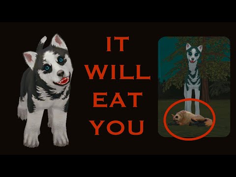 Something Is VERY Wrong With This Husky (Wildcraft Horror Story)