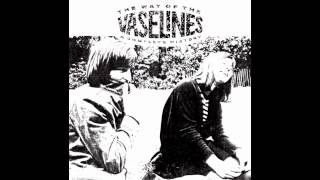 The Vaselines - Rory rides me raw - Cover