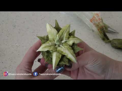 How to pipe a buttercream Lily - The Polia Lily  - Two Tone