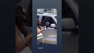 pitbul dog car shit in car attitude status 😎�