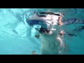 Fetch With The Dog In The Pool