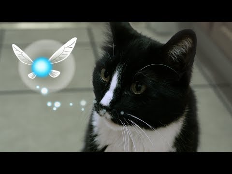 Navi Was Basically Just A Cat