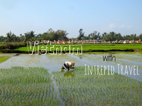 download lagu mp3 mp4 Essential Vietnam Intrepid, download lagu Essential Vietnam Intrepid gratis, unduh video klip Essential Vietnam Intrepid