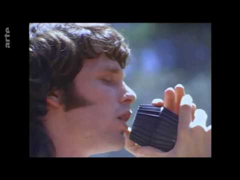 download lagu mp3 mp4 Magic Mountain Festival, download lagu Magic Mountain Festival gratis, unduh video klip Download Magic Mountain Festival Mp3 dan Mp4 Free All Gratis
