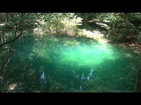 download lagu mp3 mp4 Ochiul Beiului Harta, download lagu Ochiul Beiului Harta gratis, unduh video klip Ochiul Beiului Harta