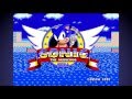 Sonic Zoom What WHAT
