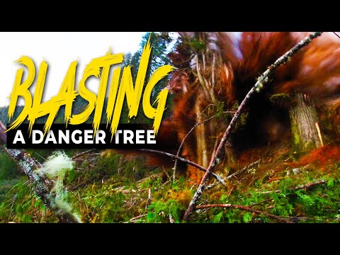 7. EPIC Tree Explosion | Blowing Up a Huge Tree