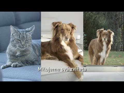 Vysavač THOMAS AQUA+ Pet & Family