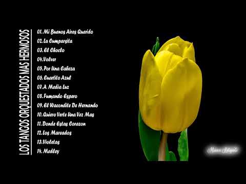 LOS TANGOS ORQUESTADOS MAS HERMOSOS - TANGOS ORQUESTADOS FAMOSOS.