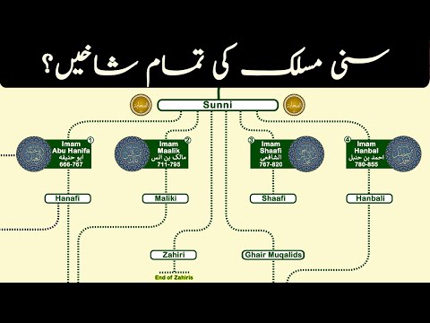 Branches of Sunni Islam | Different Sects in Sunnism | The infotainment channel