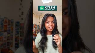 First day of tuition☁️ #xylem #commerce #studyvlog #11thgrader