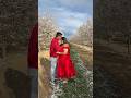 Ek Pal Almond Flower America Flowers Status Reels Viralshorts