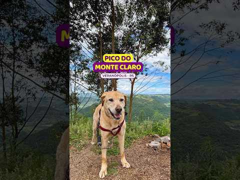 😱Lugar MAIS ALTO de #veranopolis #picomonteclaro