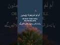 Surah Baqarah (5-8)|Surah Baqarah Recitation by Tareq Mohammad#quranrecitation #qurantilawat#quran