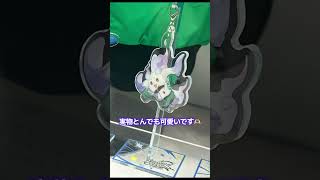 にじさんじフェス2026参戦Vlog