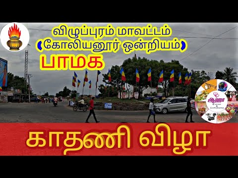 விழுப்புரம் மாவட்டம் பாமக  ஒன்றிய செயலாளர் இல்ல காதணி விழா | பிரைட் & best கேட்டரிங் | Decoration