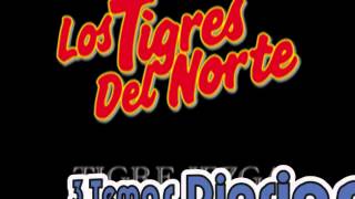 Norma Corona__Los Tigres del Norte Album Incansables (Año 1991)