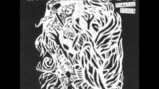 PLANES MISTAKEN FOR STARS fucking fight cds