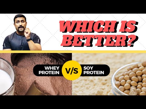 download lagu mp3 mp4 How To Make Soy Protein Powder At Home, download lagu How To Make Soy Protein Powder At Home gratis, unduh video klip How To Make Soy Protein Powder At Home