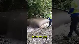 ¿Porque  tiran esto al mar 🤔?