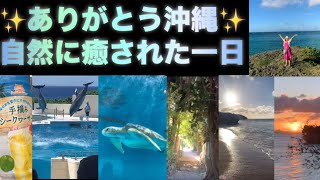 [沖縄]自然に癒された一日✨海洋博公園&備瀬フクギ並木etc