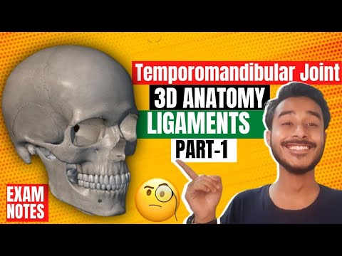 Temporomandibular Joint Anatomy 3D | anatomy of temporomandibular joint  ligaments