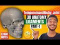 Temporomandibular Joint Anatomy 3D Anatomy Of Temporomandibular Joint Ligaments