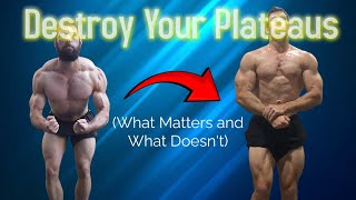 Lifetime Intermediate Lifters: The Way To Become Advanced
