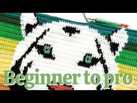 5 Things I Wish I Knew Earlier About Graphgans