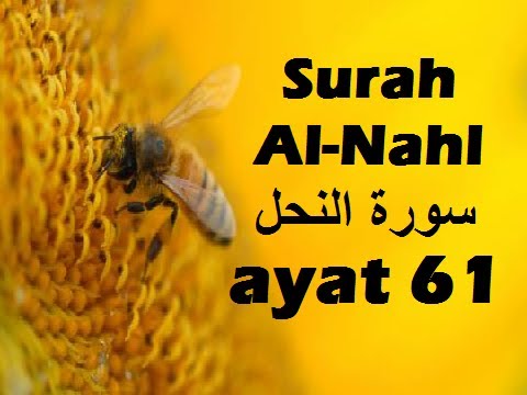 2014/05/05 Ustaz Shamsuri 816 - NE2 Surah An Nahl ayat 61