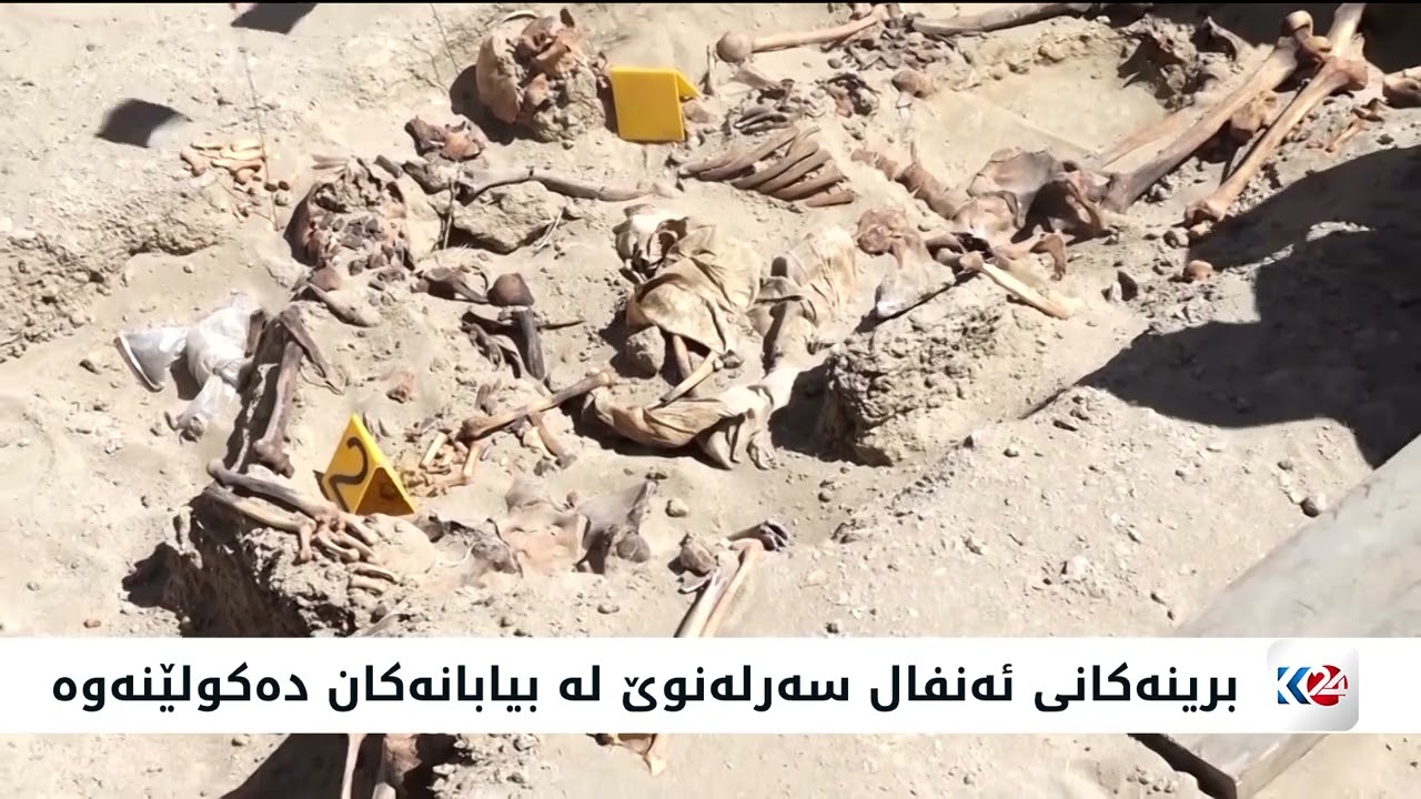 ڤیدیۆ | برینەکانی ئەنفال سەرلەنوێ له‌ بیابانه‌كان دەکولێنەوە