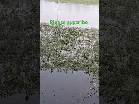 🇧🇩🇧🇩🇧🇩🇧🇩🐽