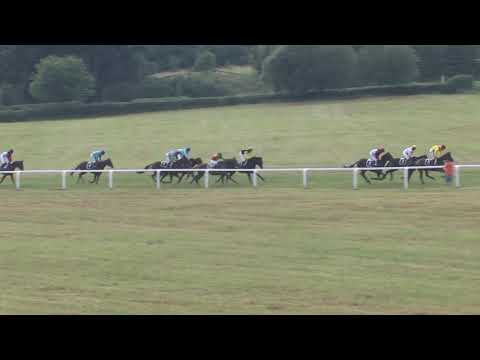 2017 Světlá Hora - 6.dostih - Cena Laboratoře Mikrochem a Gynekologie Gebauer