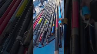 Download lagu Why Did This Fisherman Suddenly Run Away? Turns Out There Was a School of Skipjack Tuna! #fishing... mp3