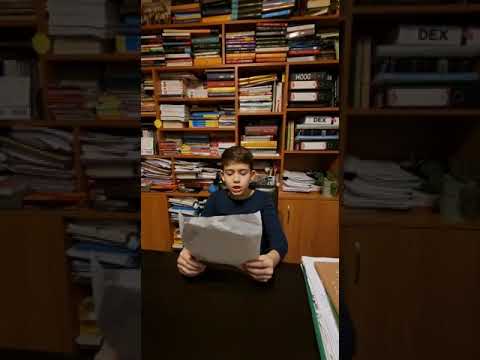 ”Legenda Rândunicii” Școala Gimnazială ”Theodor Aman” Câmpulung, elev Zaharia Nicolae Adrian