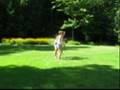 Me And Brittney Doing Gymnastics