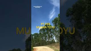 Download lagu INILAH PEMANDANGAN INDAH DI PT.FSS MUARA TOYU mp3
