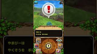 【DQMテリーのワンダーランド】おっさん実況part3