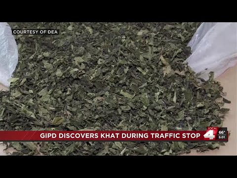 Busted Grand Island