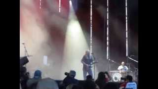 Rosendo "Listos para la reconversión" y"Cosita" @ Ávila Músicos en la Naturaleza 5 julio 2014