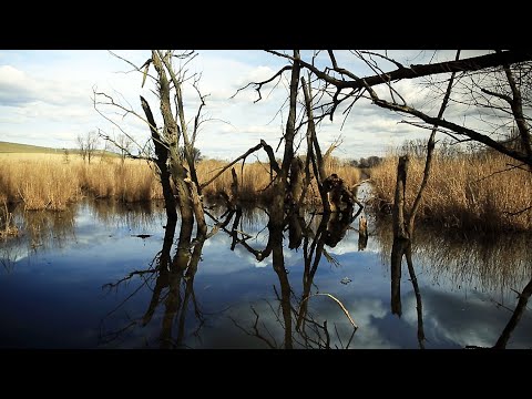 Die Selz auf ihrem Weg durch Rheinhessen | SWR | Fahr mal hin