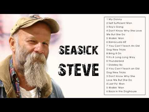 THE VERY BEST OF SEASICK STEVE (FULL ALBUM)